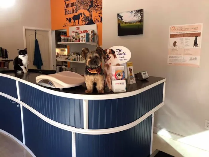 Lakeside Animal Health Picture 5