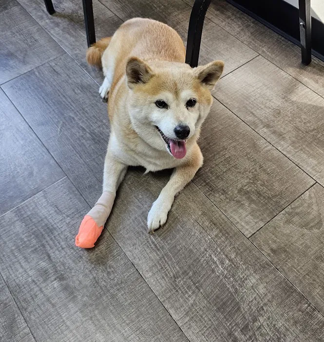 Decatur Veterinary Clinic Picture 5