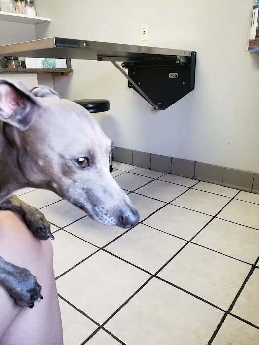 Decatur Veterinary Clinic Picture 1