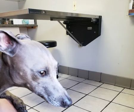 Decatur Veterinary Clinic