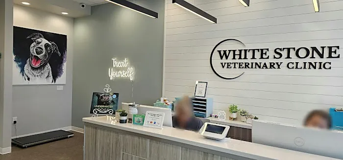 White Stone Veterinary Clinic Picture 4