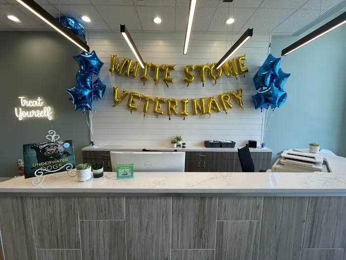White Stone Veterinary Clinic Picture 1