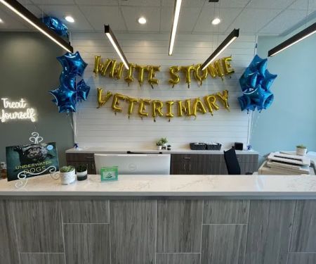 White Stone Veterinary Clinic