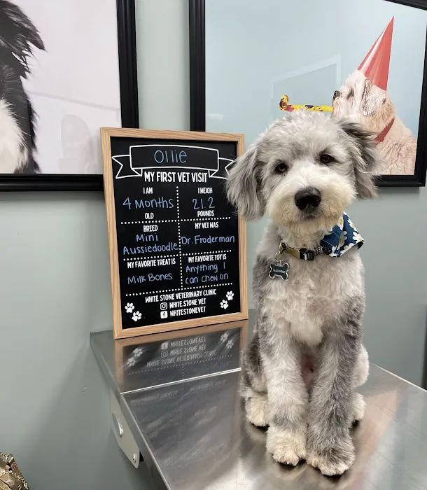 White Stone Veterinary Clinic Picture 10