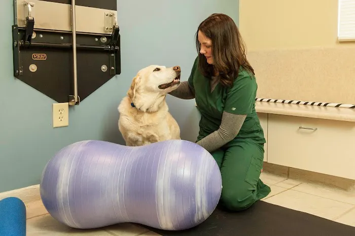 VCA Animal Hospital of Plainfield Picture 10