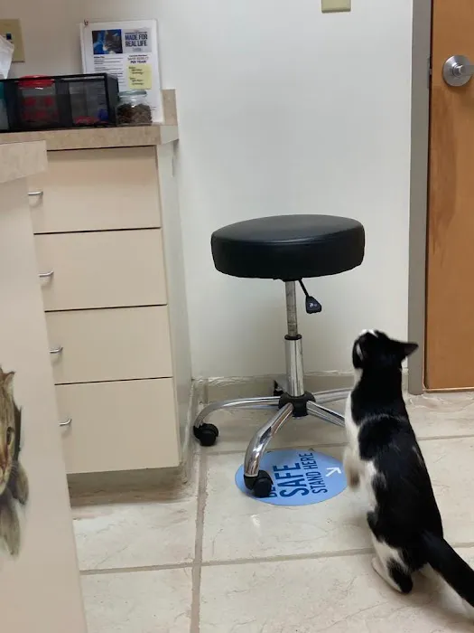 VCA Animal Hospital of Plainfield Picture 9