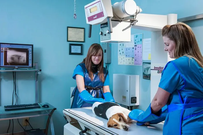 VCA Animal Hospital of Plainfield Picture 7