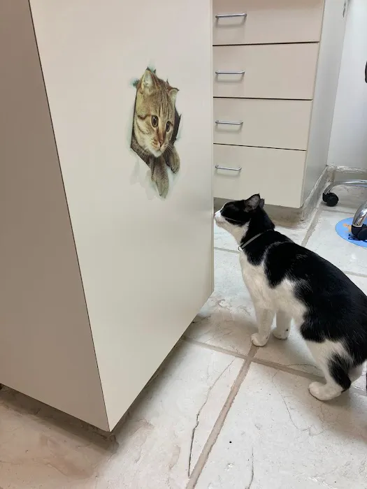 VCA Animal Hospital of Plainfield Picture 8