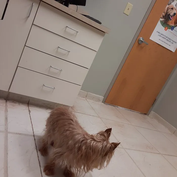 VCA Animal Hospital of Plainfield Picture 2