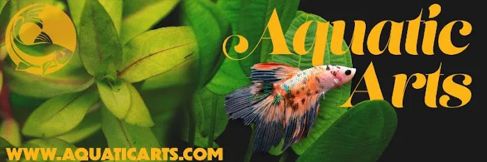 Aquatic Arts Picture 3