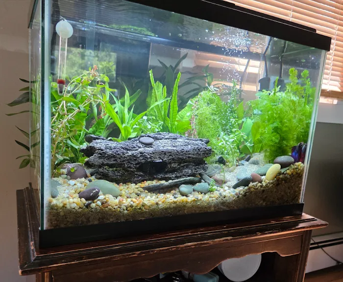 Aquatic Arts Picture 10