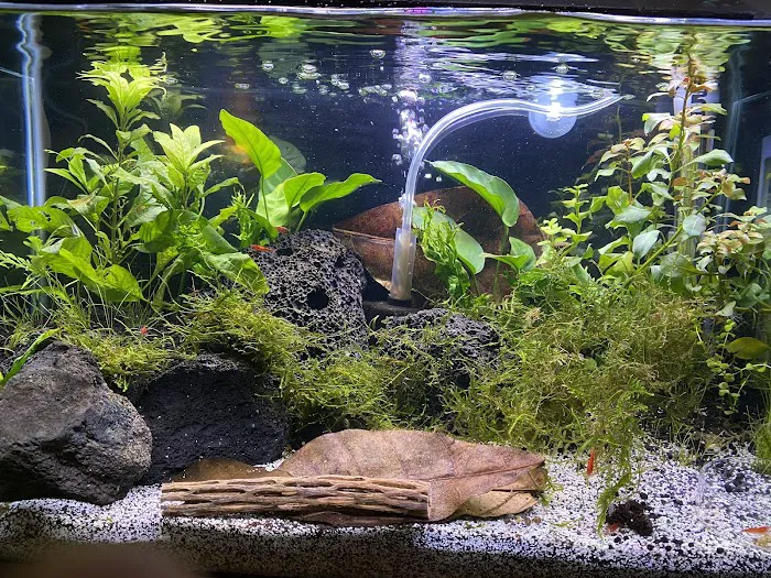 Aquatic Arts Picture 5
