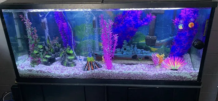 Aquatic Arts Picture 1
