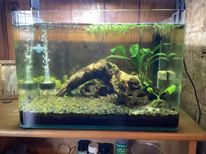 Aquatic Arts Picture 2