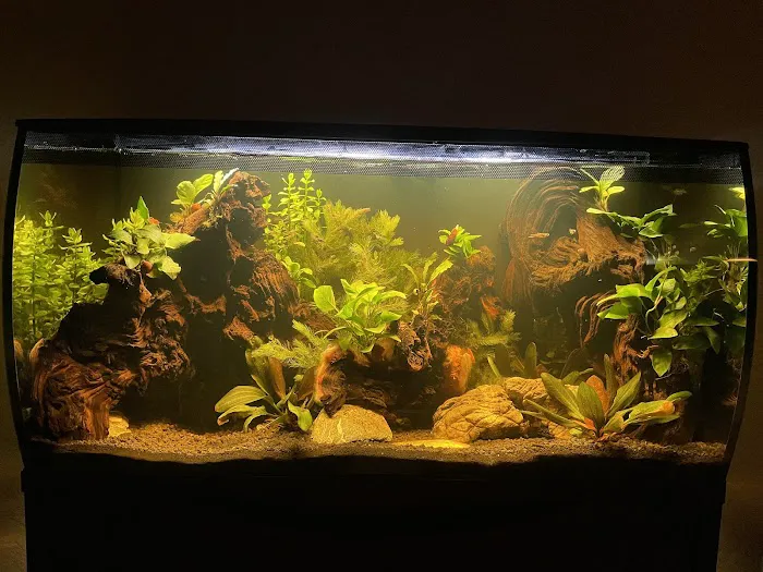 Aquatic Arts Picture 9