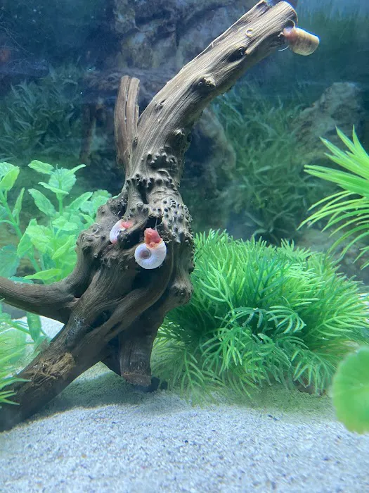 Aquatic Arts Picture 7
