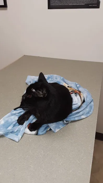 Greencastle Veterinary Clinic Picture 1