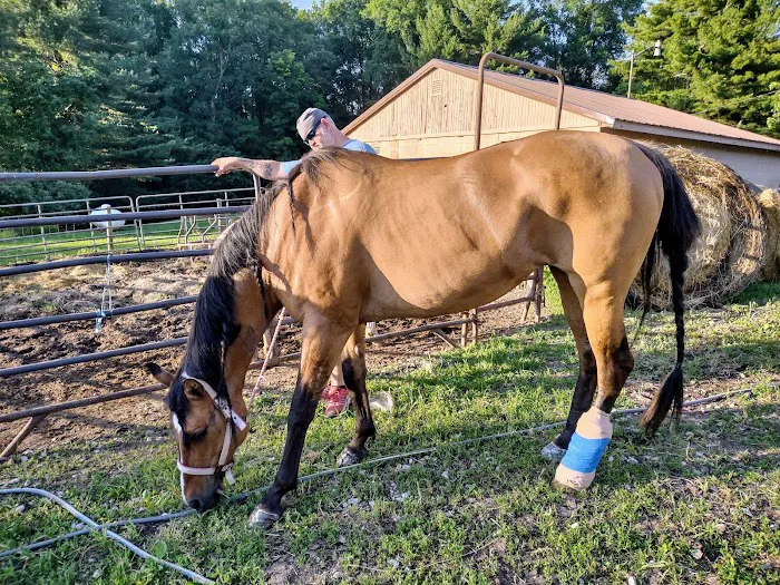 West Central Veterinary Services - Greencastle Picture 4