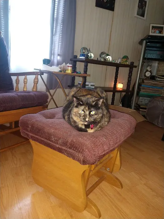 West Central Veterinary Services - Greencastle Picture 9