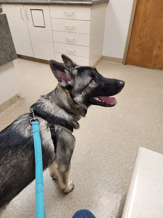 West Central Veterinary Services - Greencastle Picture 7