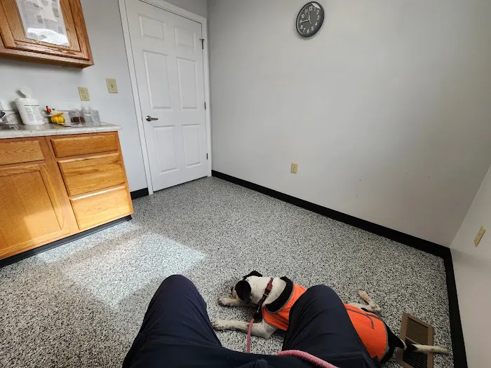 New Winchester Animal Clinic Picture 2