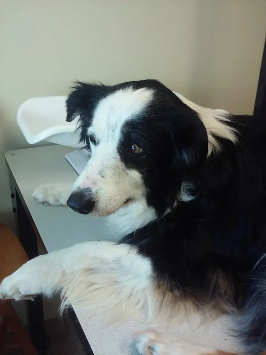 New Winchester Animal Clinic Picture 6