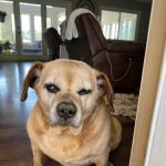 South 31 Veterinary Clinic