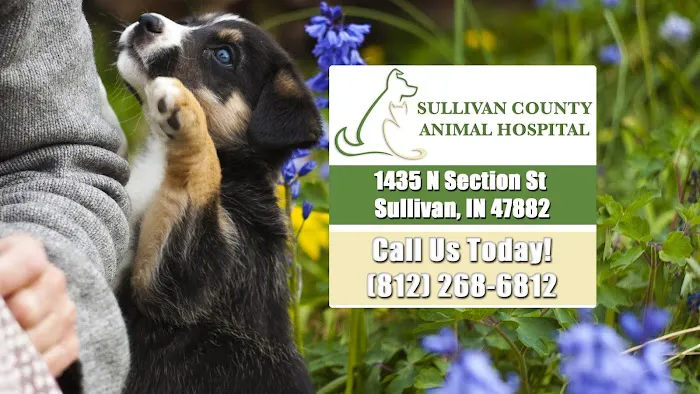 Sullivan County Animal Hospital Picture 1