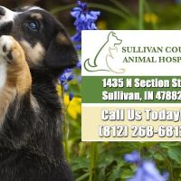 Sullivan County Animal Hospital ico