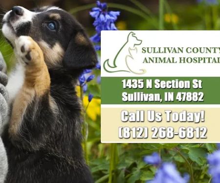 Sullivan County Animal Hospital
