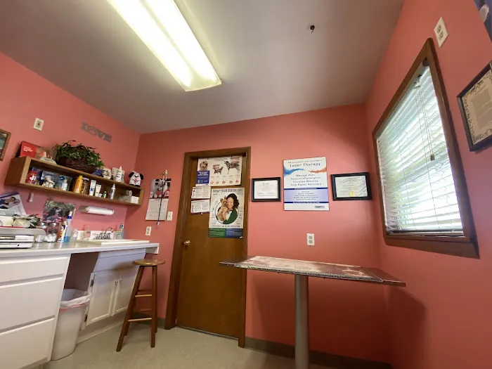 Sullivan County Animal Hospital Picture 7
