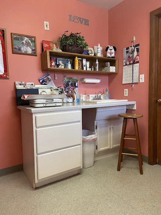 Sullivan County Animal Hospital Picture 2