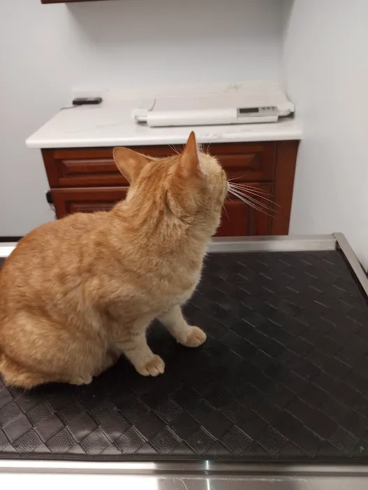 JP PetCare Picture 10