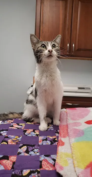 JP PetCare Picture 6