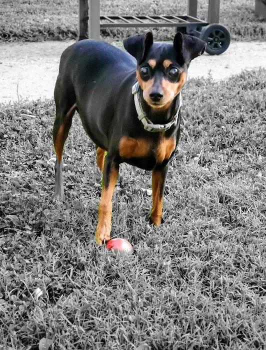JP PetCare Picture 4