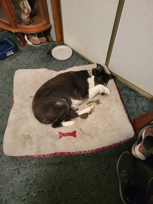 JP PetCare Picture 1