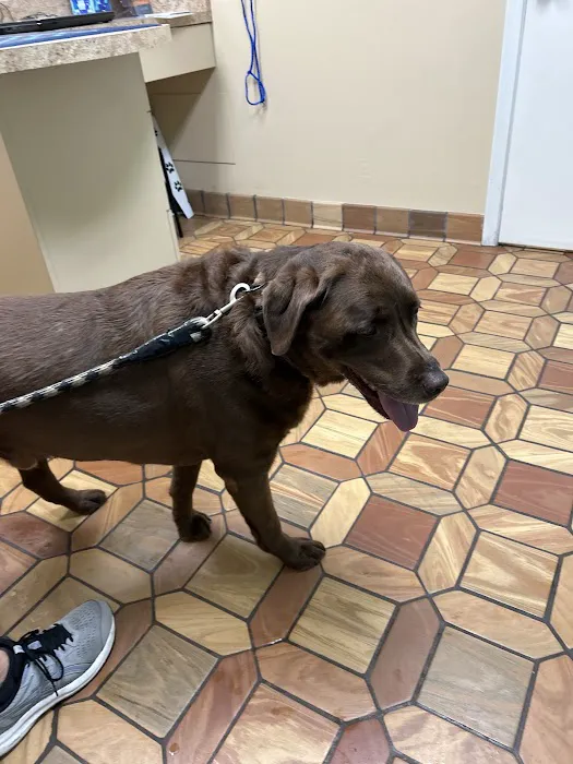 Heritage Animal Hospital South Picture 3