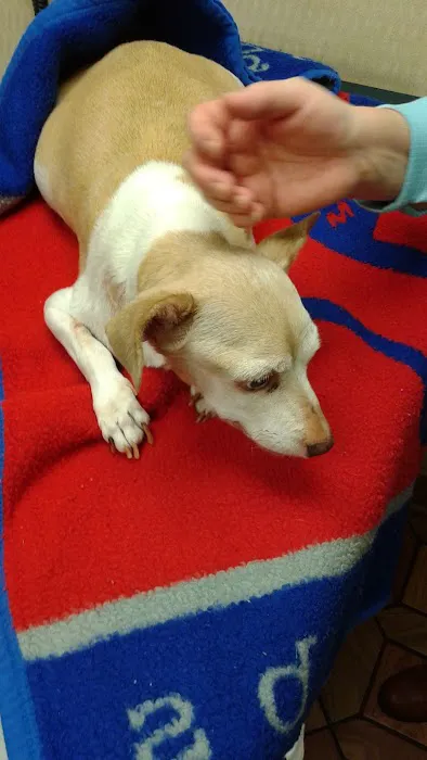 Heritage Animal Hospital South Picture 6
