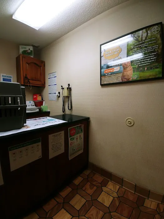 Heritage Animal Hospital South Picture 10