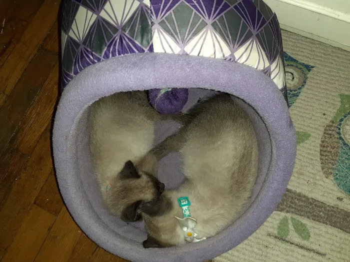 Lawrence County Animal Hospital Picture 8