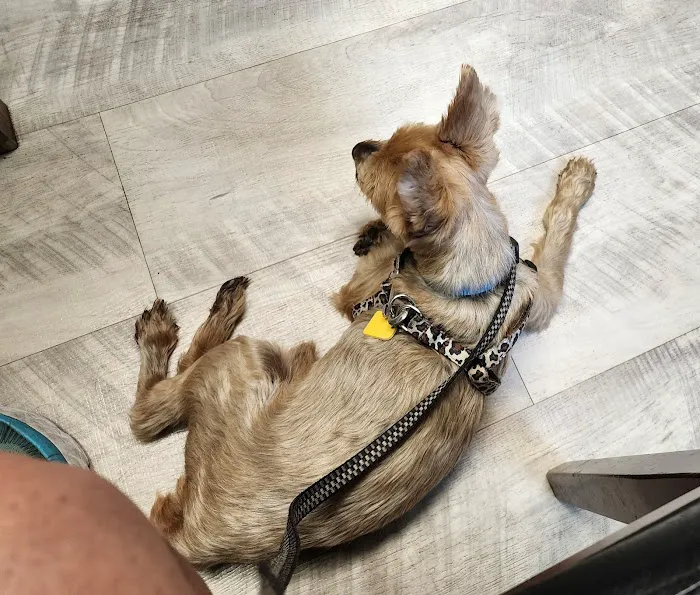 Lawrence County Animal Hospital Picture 10