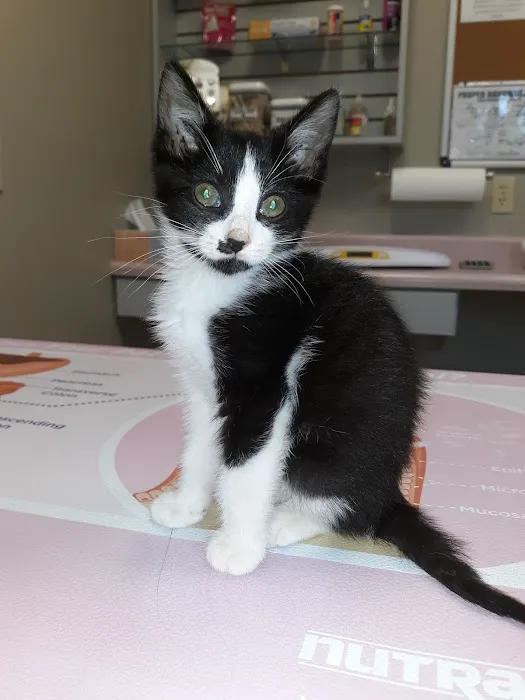 Lawrence County Animal Hospital Picture 7