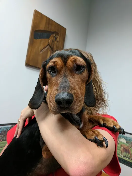Robinson Hospital for Animals Picture 10