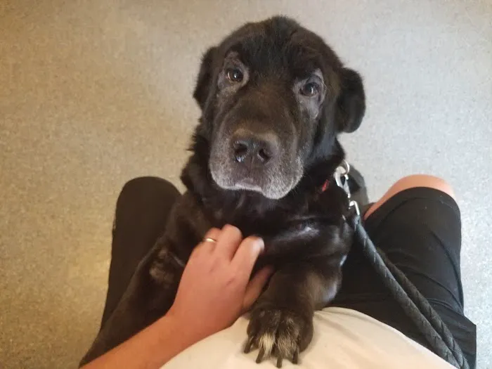 Fort Branch Veterinary Hospital Picture 7