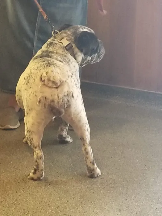 Fort Branch Veterinary Hospital Picture 2