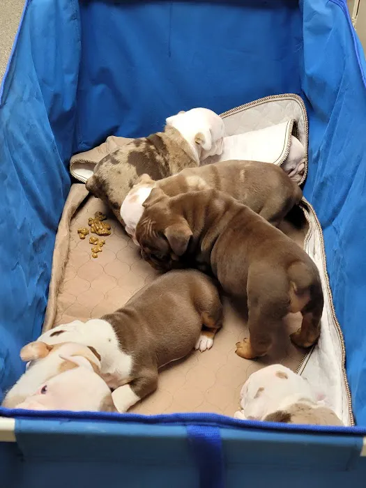 Fort Branch Veterinary Hospital Picture 9