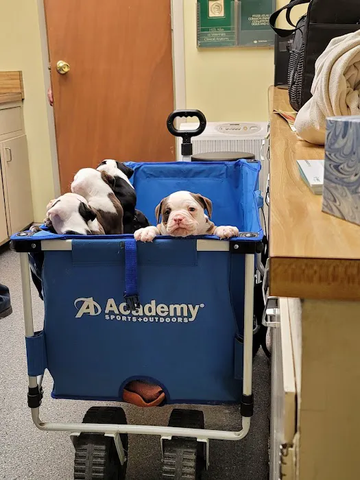 Fort Branch Veterinary Hospital Picture 5