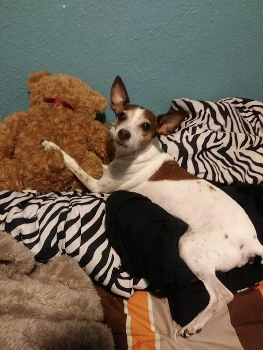 Epperson Veterinary Services Picture 6