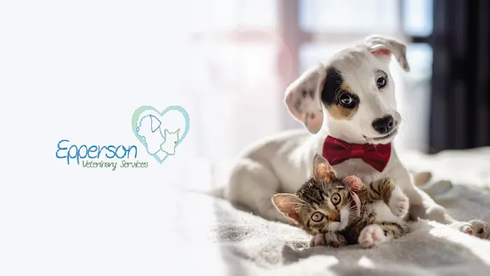 Epperson Veterinary Services Picture 3