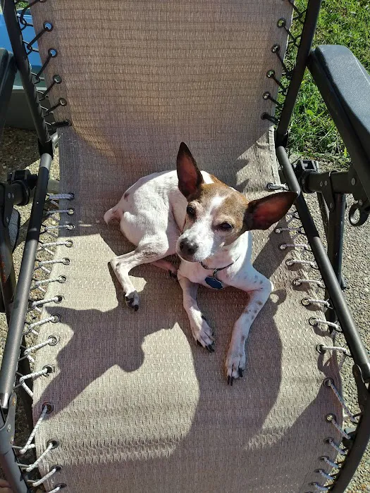 Epperson Veterinary Services Picture 10